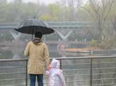 初春雨润