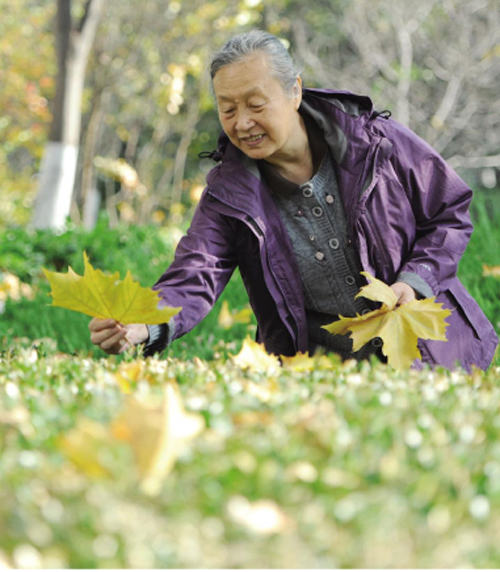 每当大风大雨过后,都婉莉总会走出家门去寻找树叶